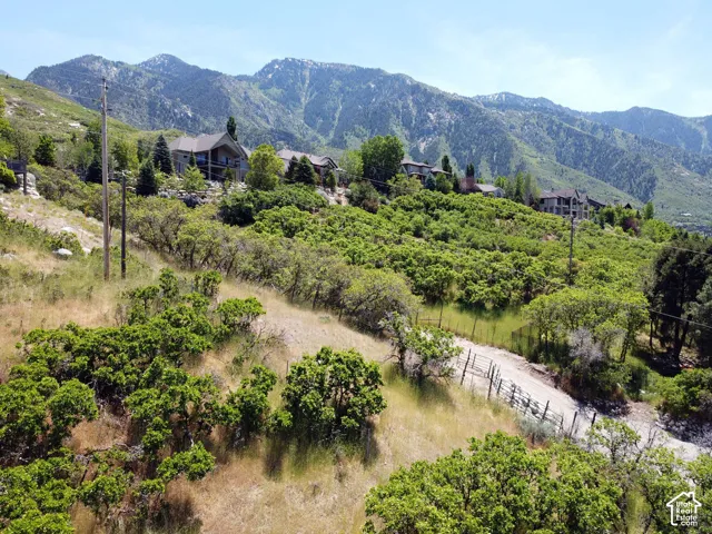 Mountain backdrop with mature landscaping and green foliage