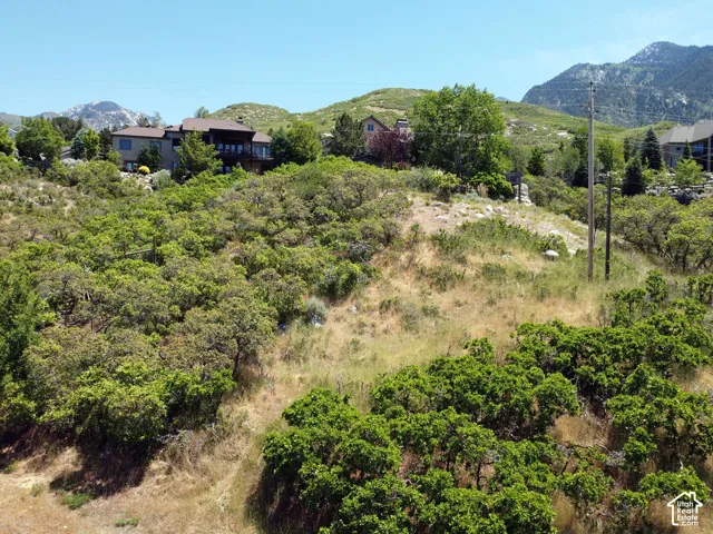 Mountainous terrain featuring diverse natural vegetation and a clear blue sky