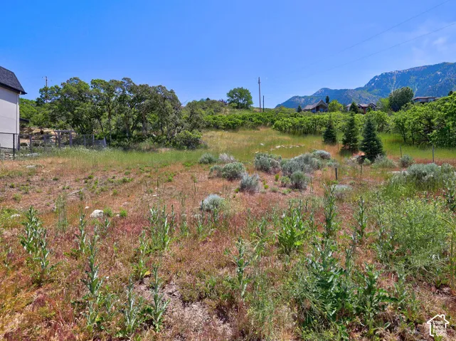 Expansive natural landscape with varied terrain, featuring distant mountains and mature trees
