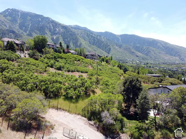 Expansive mountainous landscape featuring lush green foliage and clear skies