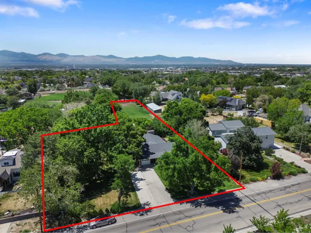 Expansive lot featuring mature trees, a substantial grassy area, and direct road frontage