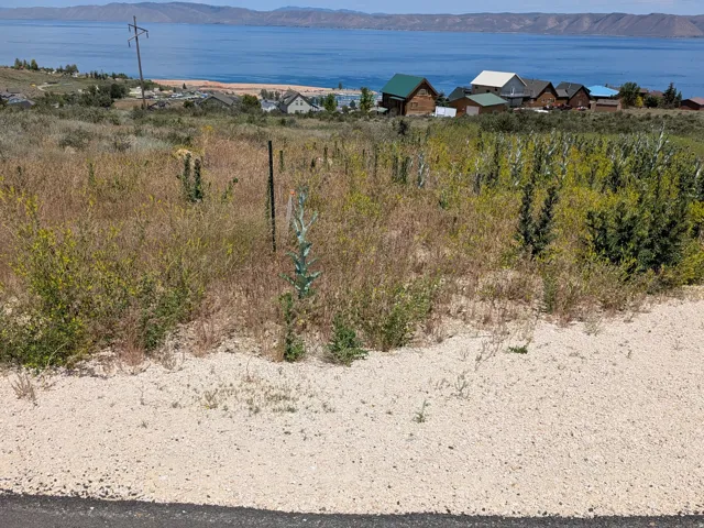 Expansive undeveloped lot featuring natural vegetation and a distant lake backdrop