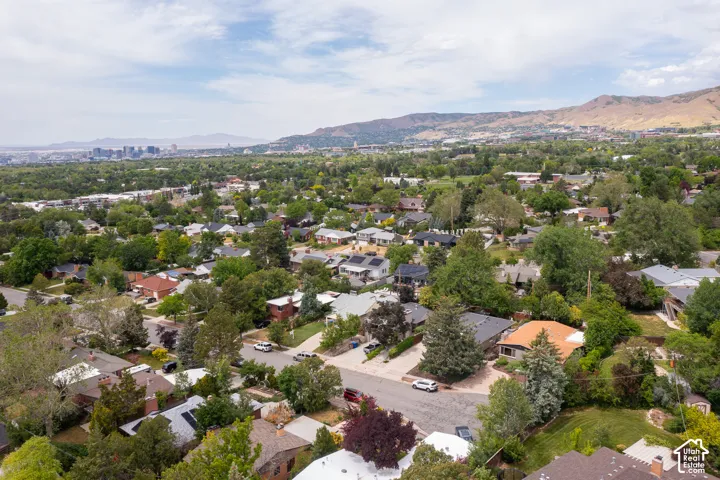 Expansive residential area featuring a diverse collection of homes with various architectural styles and roof colors