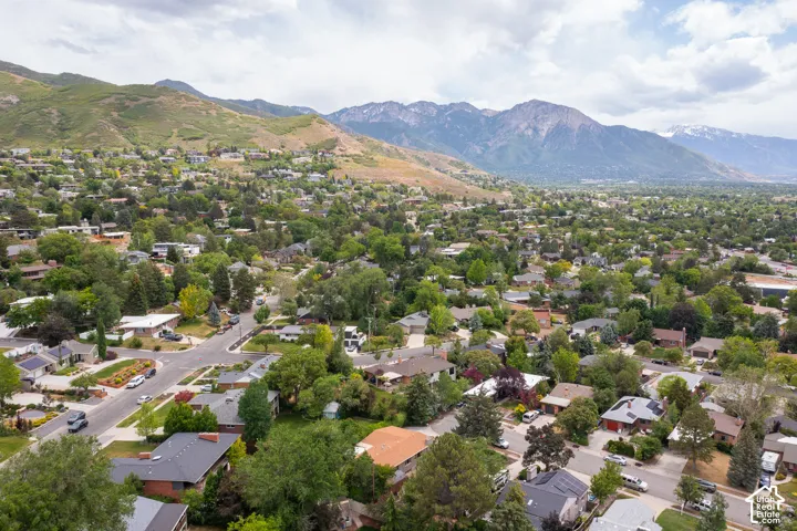 Residential neighborhood featuring mature trees and established homes