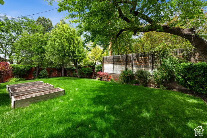 Expansive lawn featuring mature trees and three raised garden beds