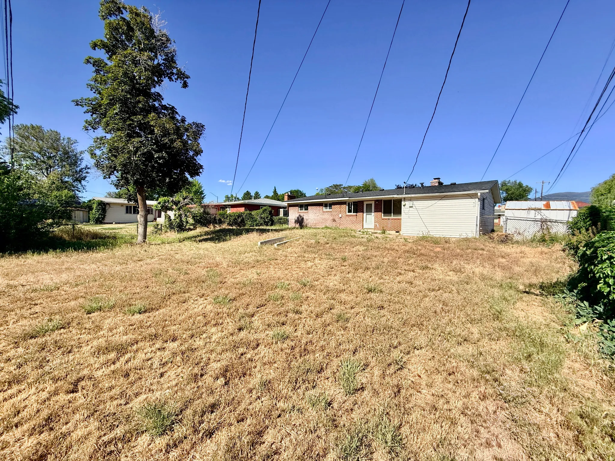 Expansive backyard with a mature tree