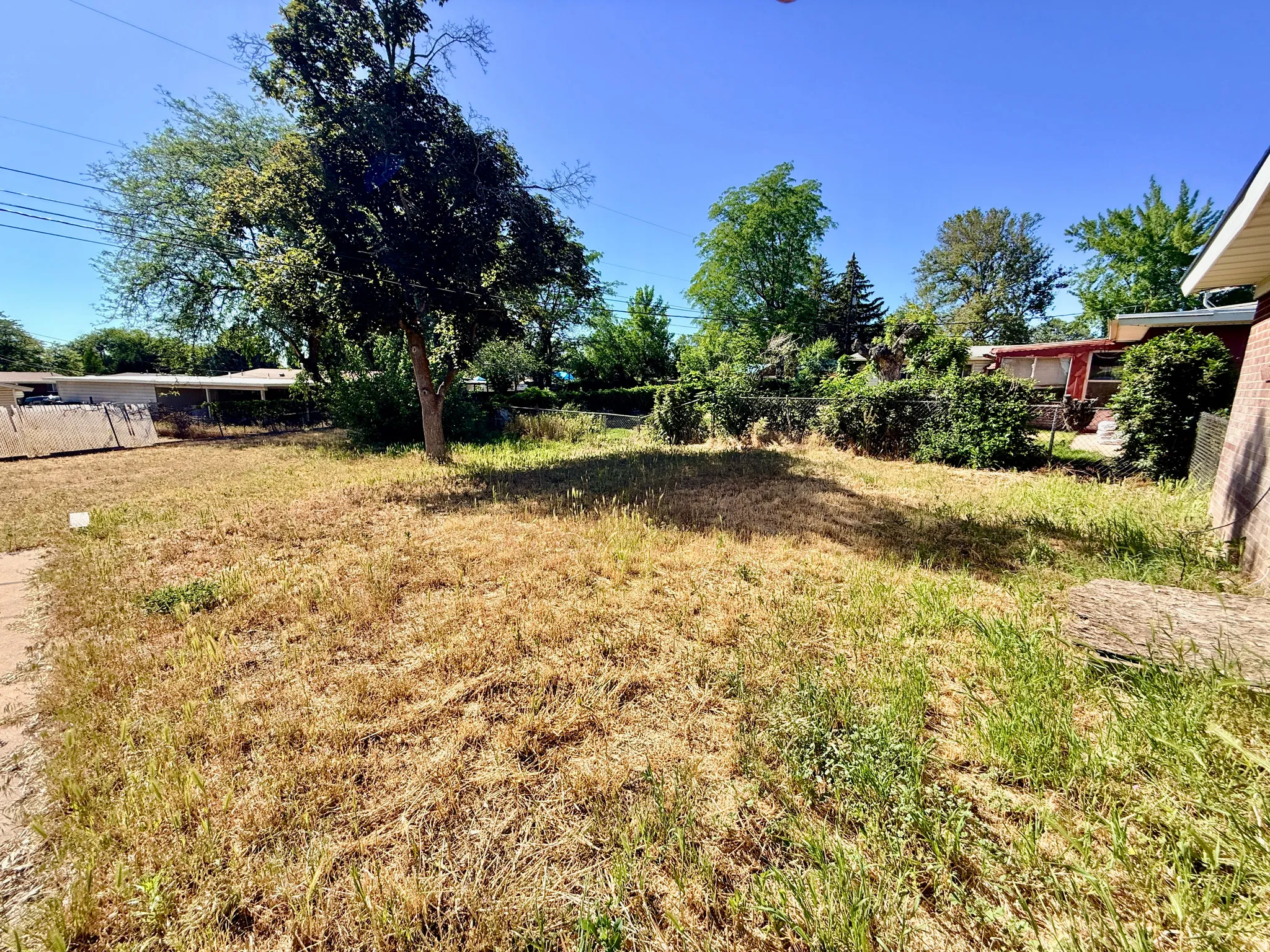 Expansive outdoor lot featuring mature trees and a clear sky backdrop