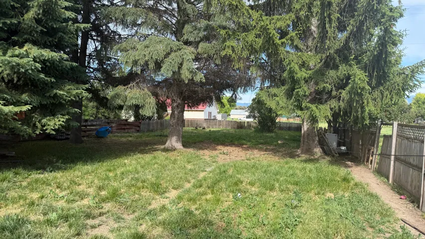 Expansive rear yard featuring mature evergreen trees, partial wood fencing, and natural ground cover