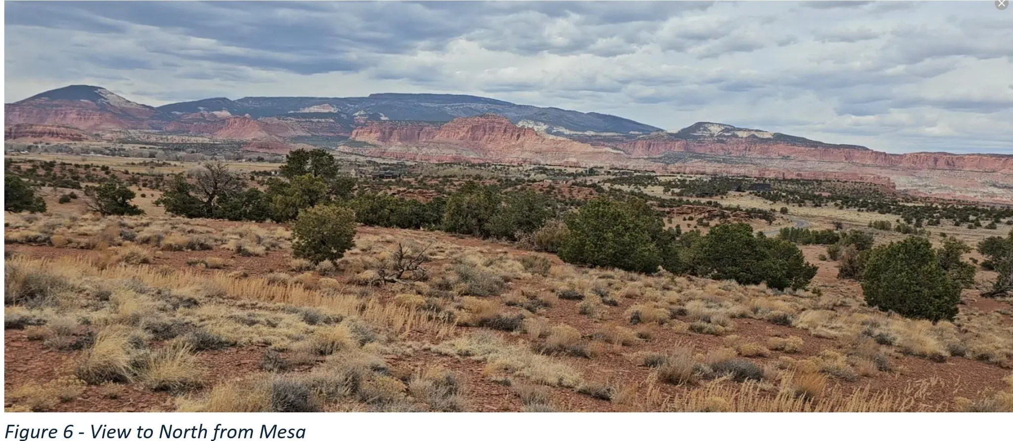 Expansive landscape featuring diverse desert flora, distant mesas, and a rugged mountainous backdrop