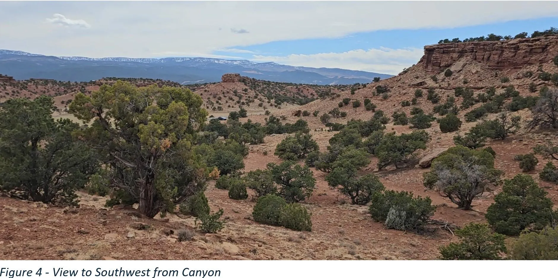 Expansive desert landscape featuring varied terrain, abundant natural vegetation, distant mountains with snow-capped peaks, and striking rock formations