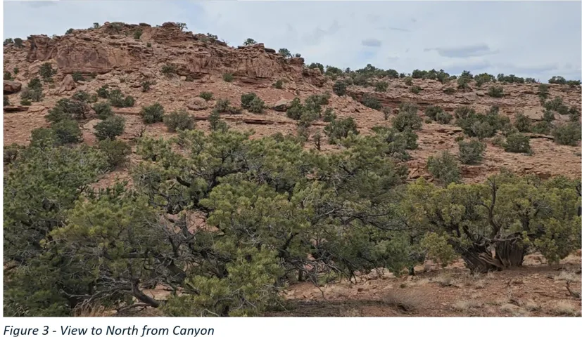 Natural desert landscape featuring rugged red rock formations, diverse evergreen vegetation, and varied topography