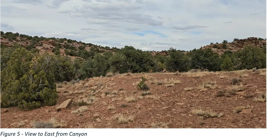 Expansive natural landscape with varied terrain