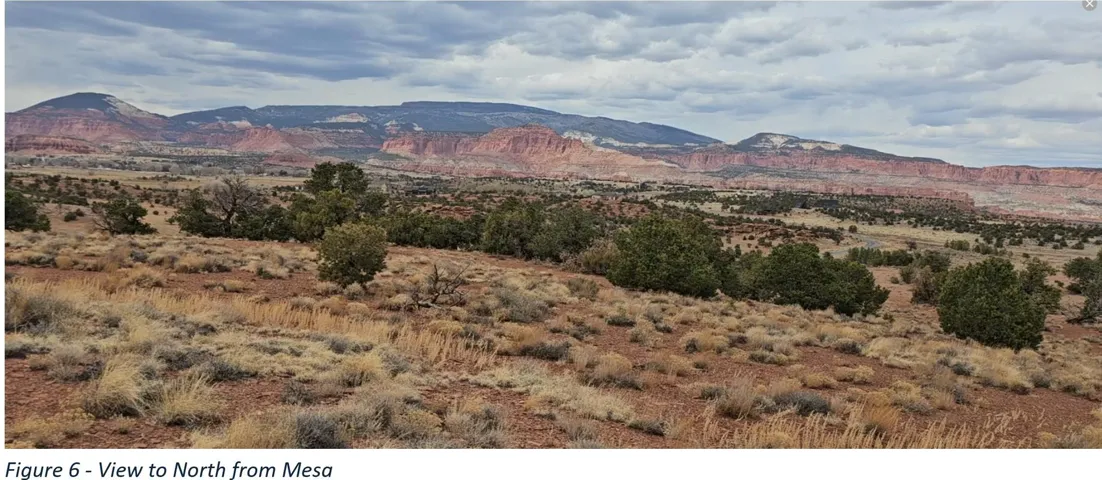 Expansive landscape featuring diverse desert flora, distant mesas, and a rugged mountainous backdrop