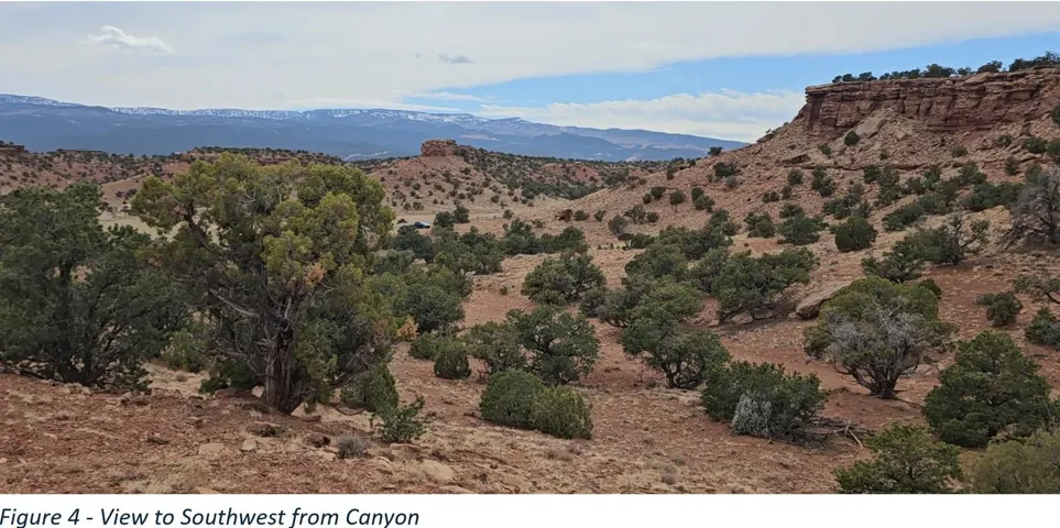 Expansive desert landscape featuring varied terrain, abundant natural vegetation, distant mountains with snow-capped peaks, and striking rock formations