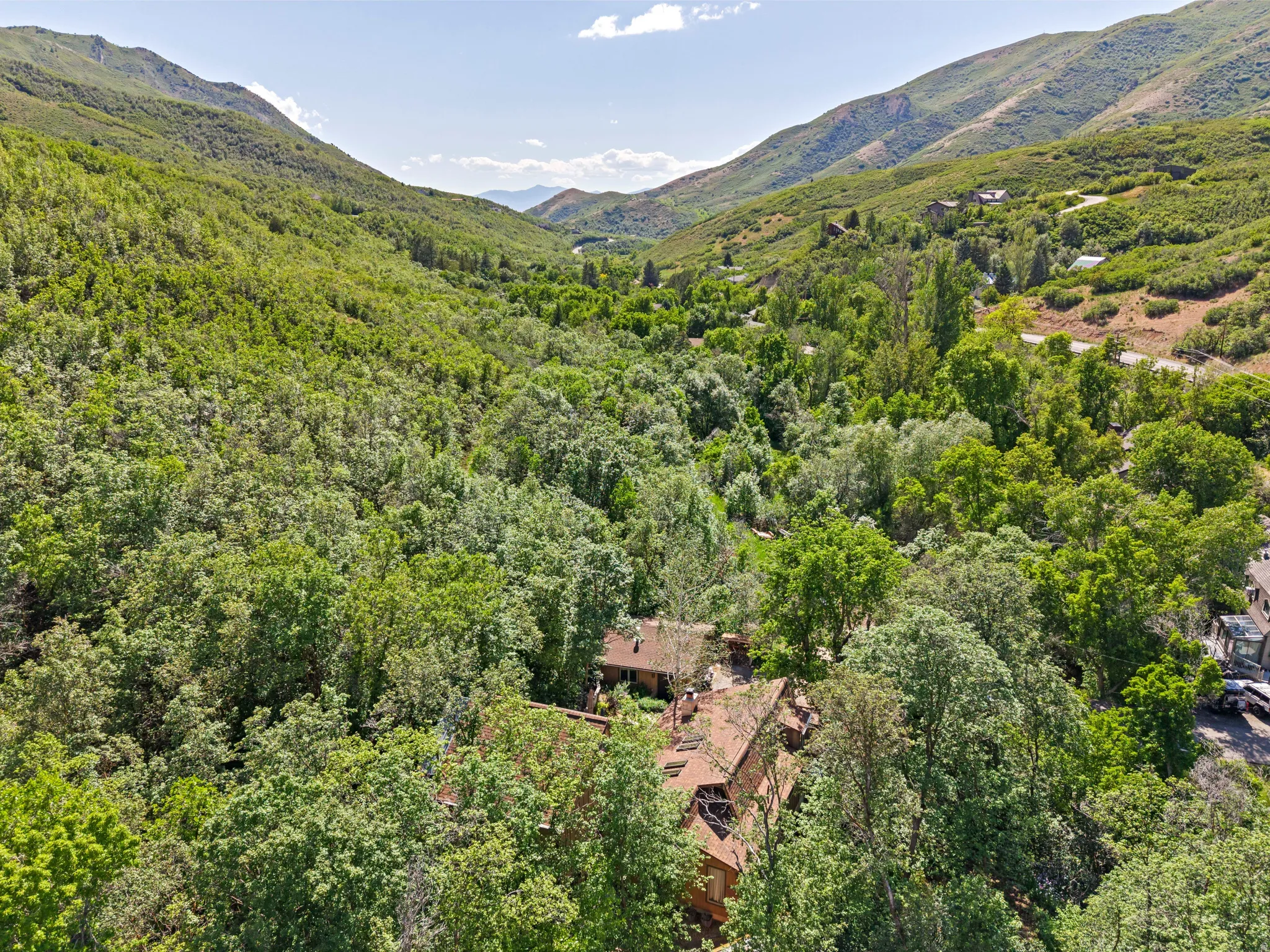 Mountainous terrain with extensive tree coverage and a valley landscape