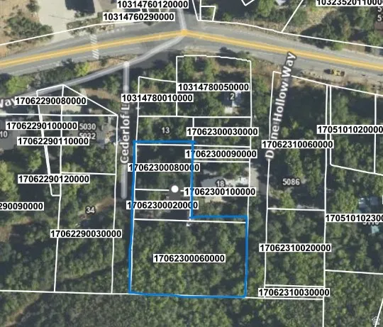 Assessor's Map. Displaying property boundaries and identification numbers for the property