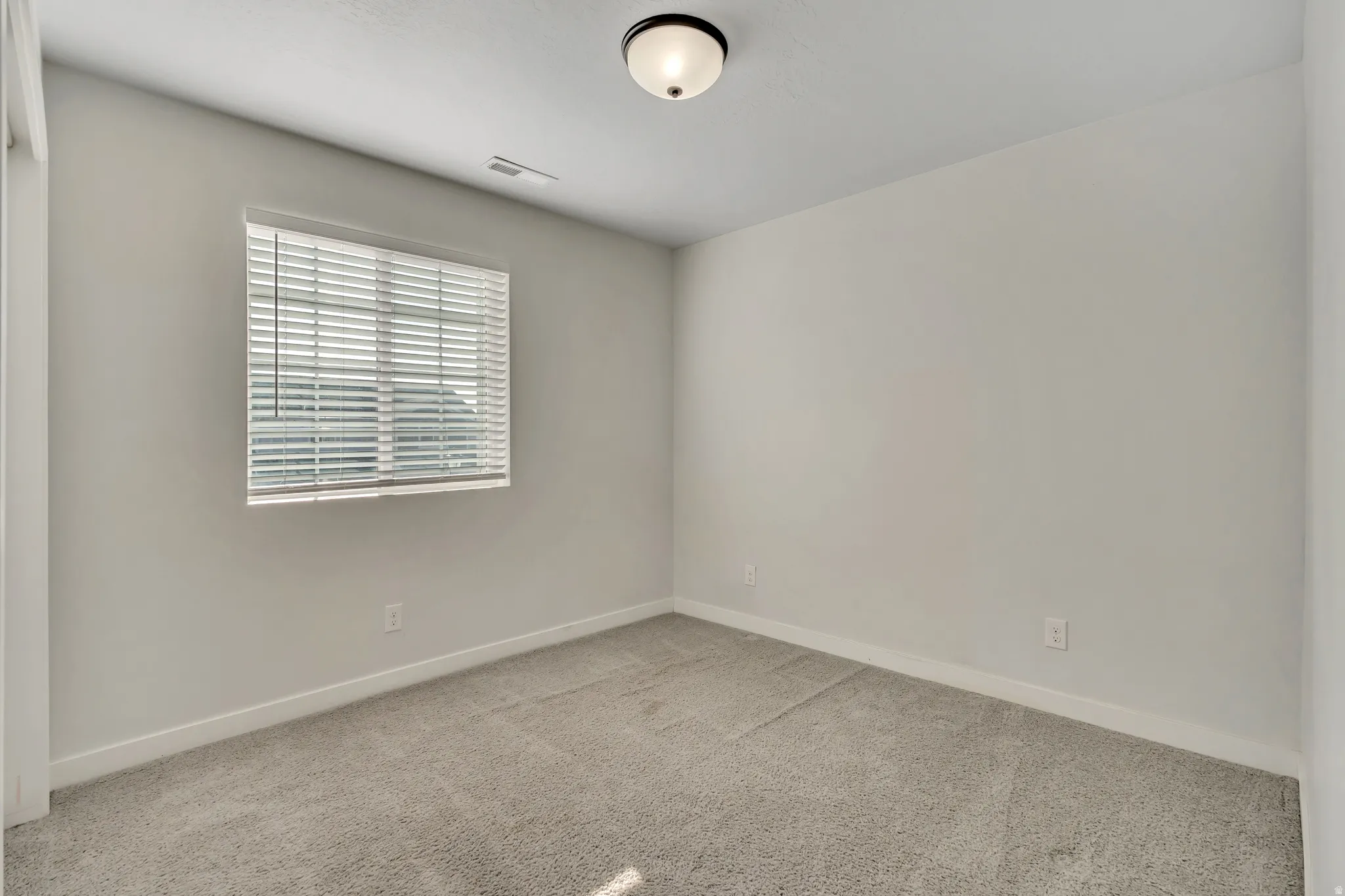 Carpeted room with a ceiling-mounted light fixture, neutral wall paint, and white trim