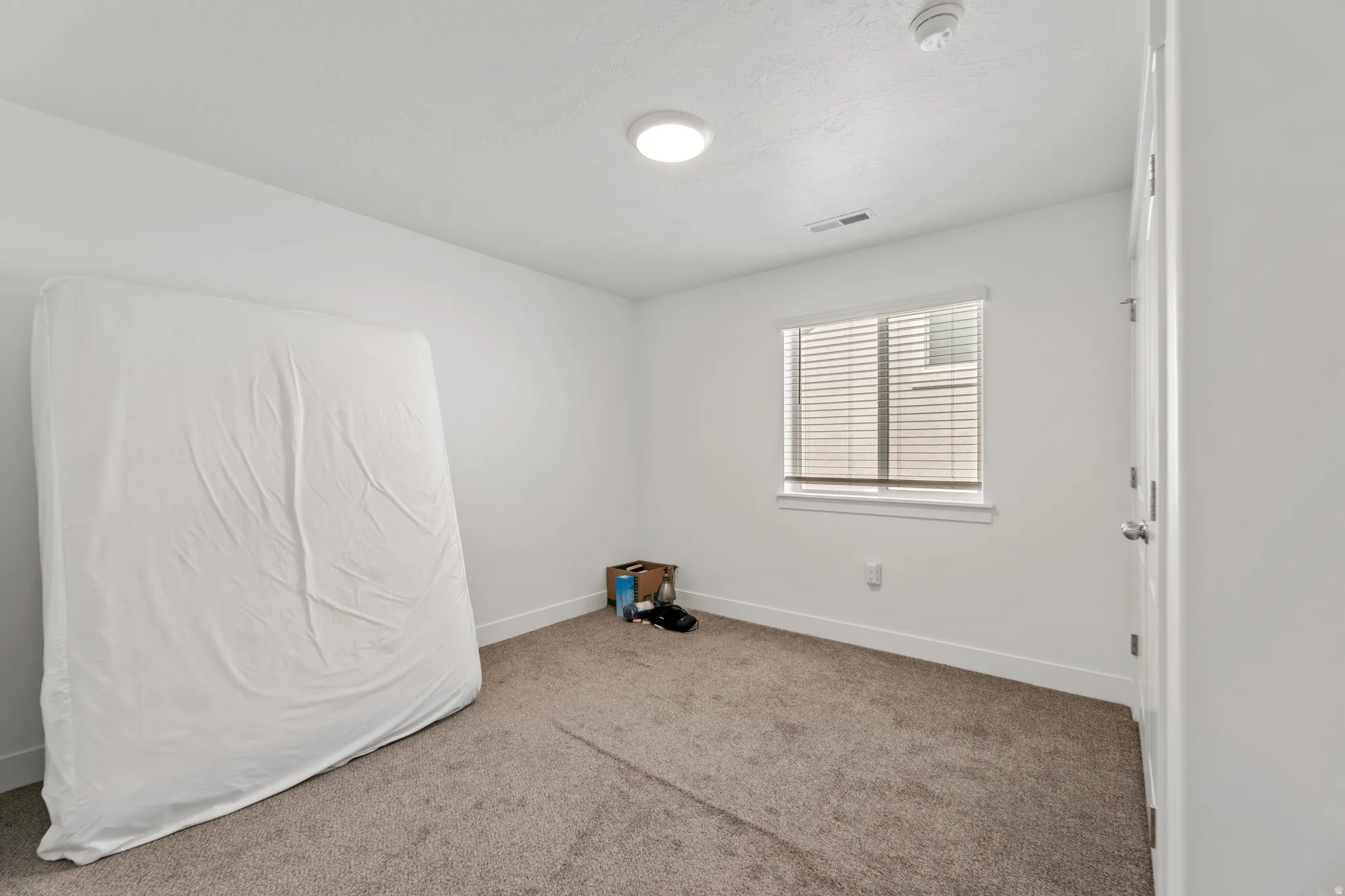 Carpeted room with a flush-mount ceiling light and a window with horizontal blinds