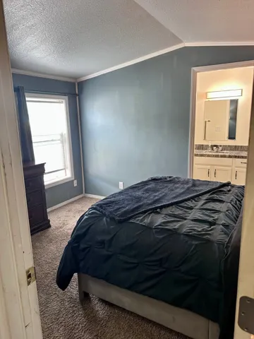Carpeted room with a window, white trim, and direct entry to an ensuite featuring a vanity with two sinks, a mirror, and overhead lighting