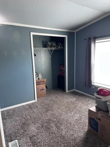 Room featuring gray plush carpeting, blue-gray painted walls, and white trim accents