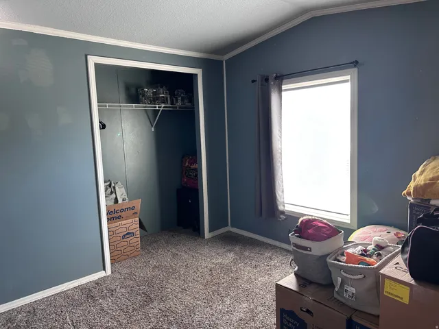 Carpeted room with a window featuring dark curtains, light blue walls, and white trim