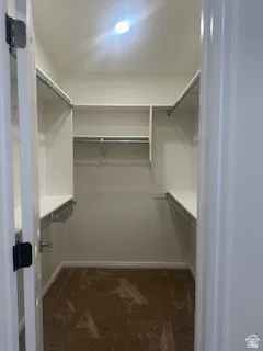 Walk-in closet featuring built-in shelving, multiple hanging rods, overhead lighting, and carpet flooring