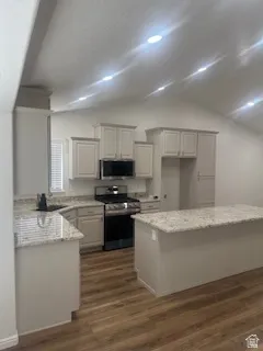 Kitchen featuring light-toned cabinetry, granite countertops, stainless steel appliances, a center island, and wood-finish flooring
