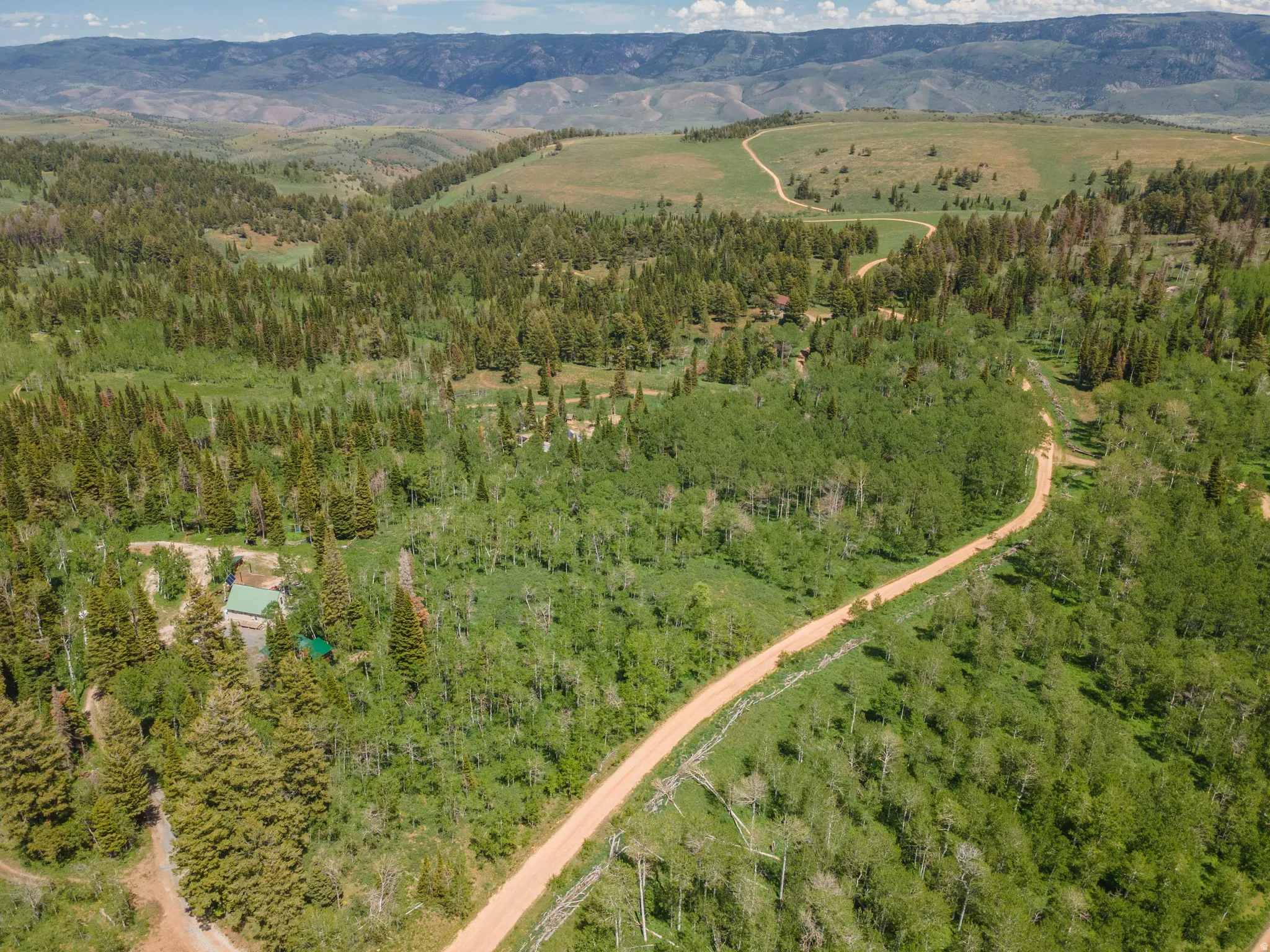 Expansive mountain landscape featuring a winding dirt road, dense evergreen and deciduous trees, and distant rolling hills