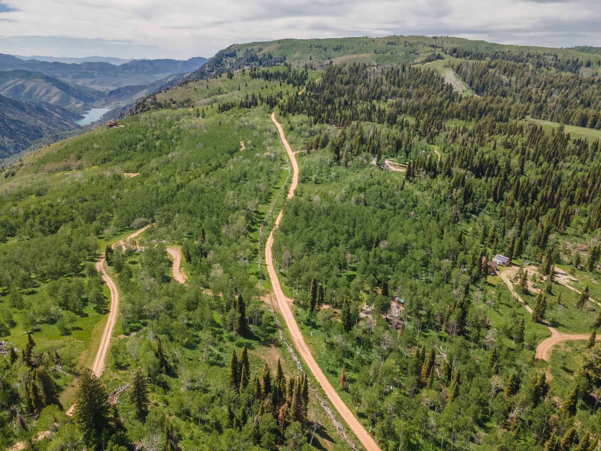 Expansive mountain landscape featuring varied tree coverage and a distant body of water