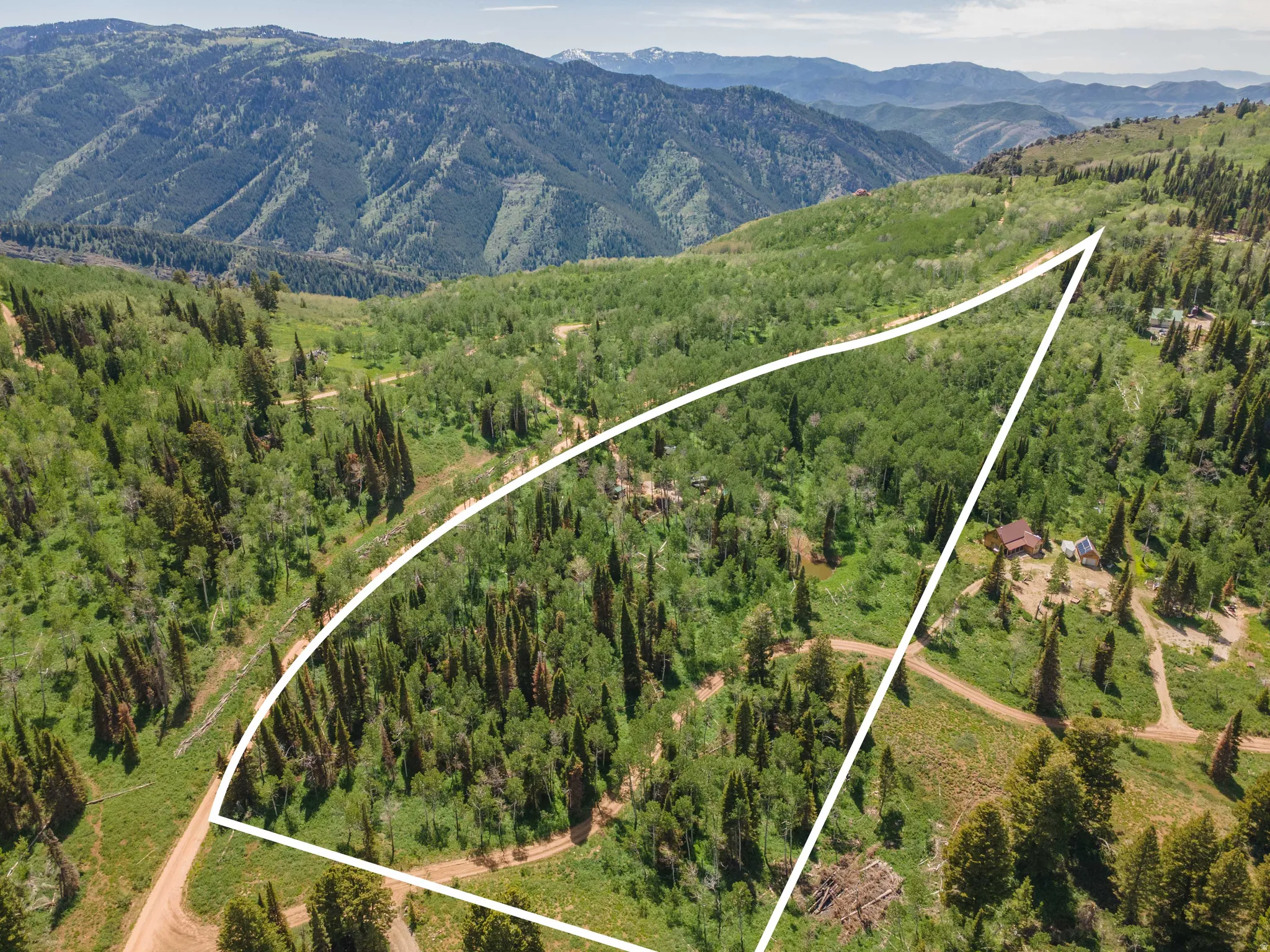 Expansive mountain acreage featuring diverse tree coverage, unpaved road access, and a prominent mountainous backdrop