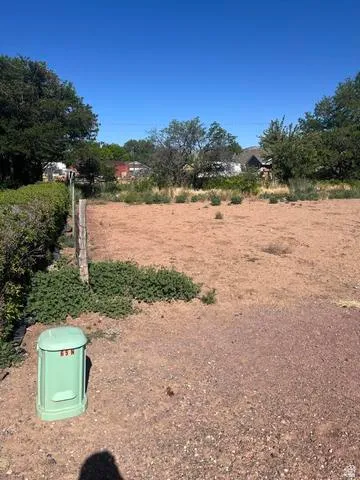 Expansive open lot featuring natural ground cover, established perimeter shrubs, a clear blue sky, and mature trees in the background