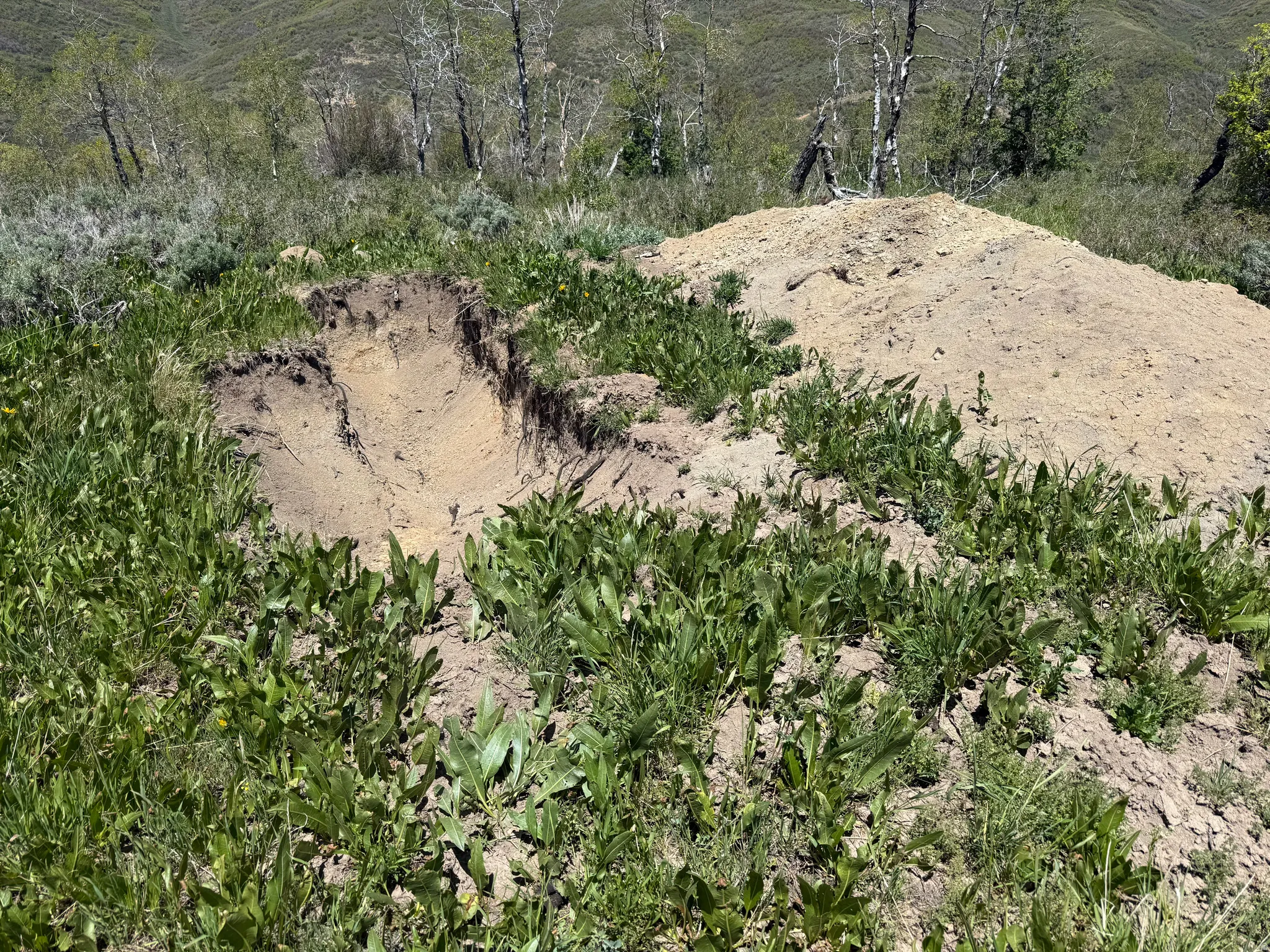 Percolation test site - passed