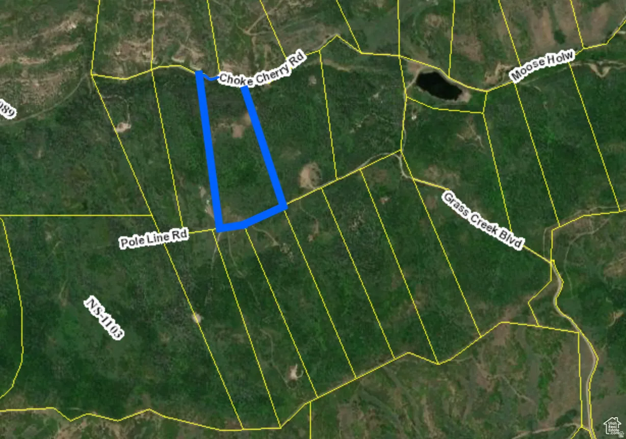 County Parcel Map. This lot is higher than the lots to the east and west.