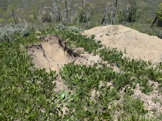 Percolation test site - passed