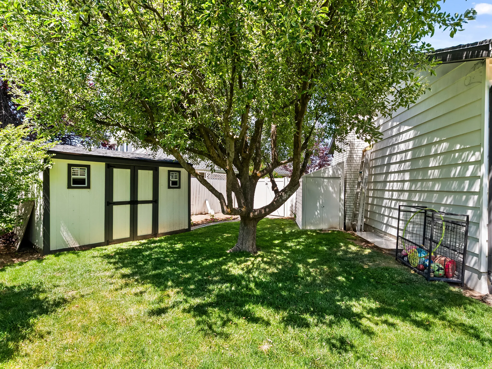 Manicured lawn with mature shade tree