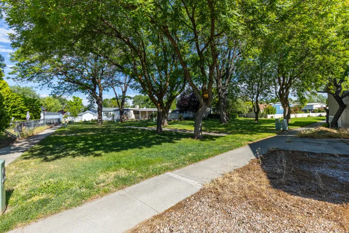 Expansive grassy area featuring mature deciduous trees and a concrete pathway