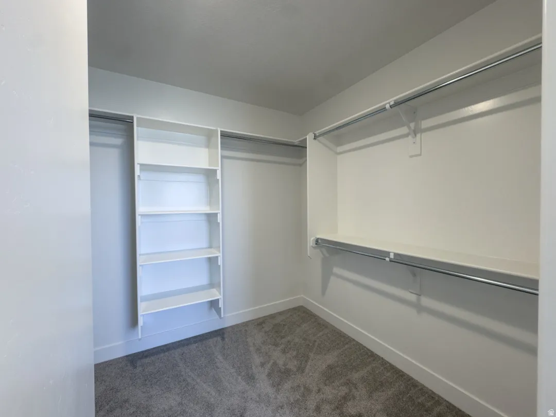 Walk-in closet featuring built-in shelving, chrome hanging rods, white walls, and grey carpet flooring