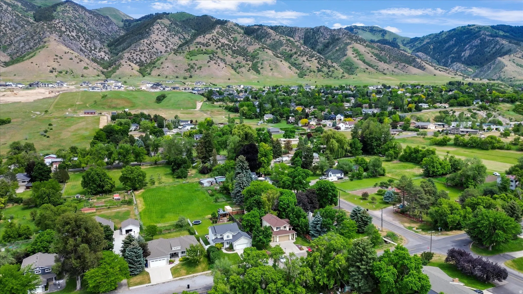 Expansive residential area featuring numerous homes nestled among mature trees