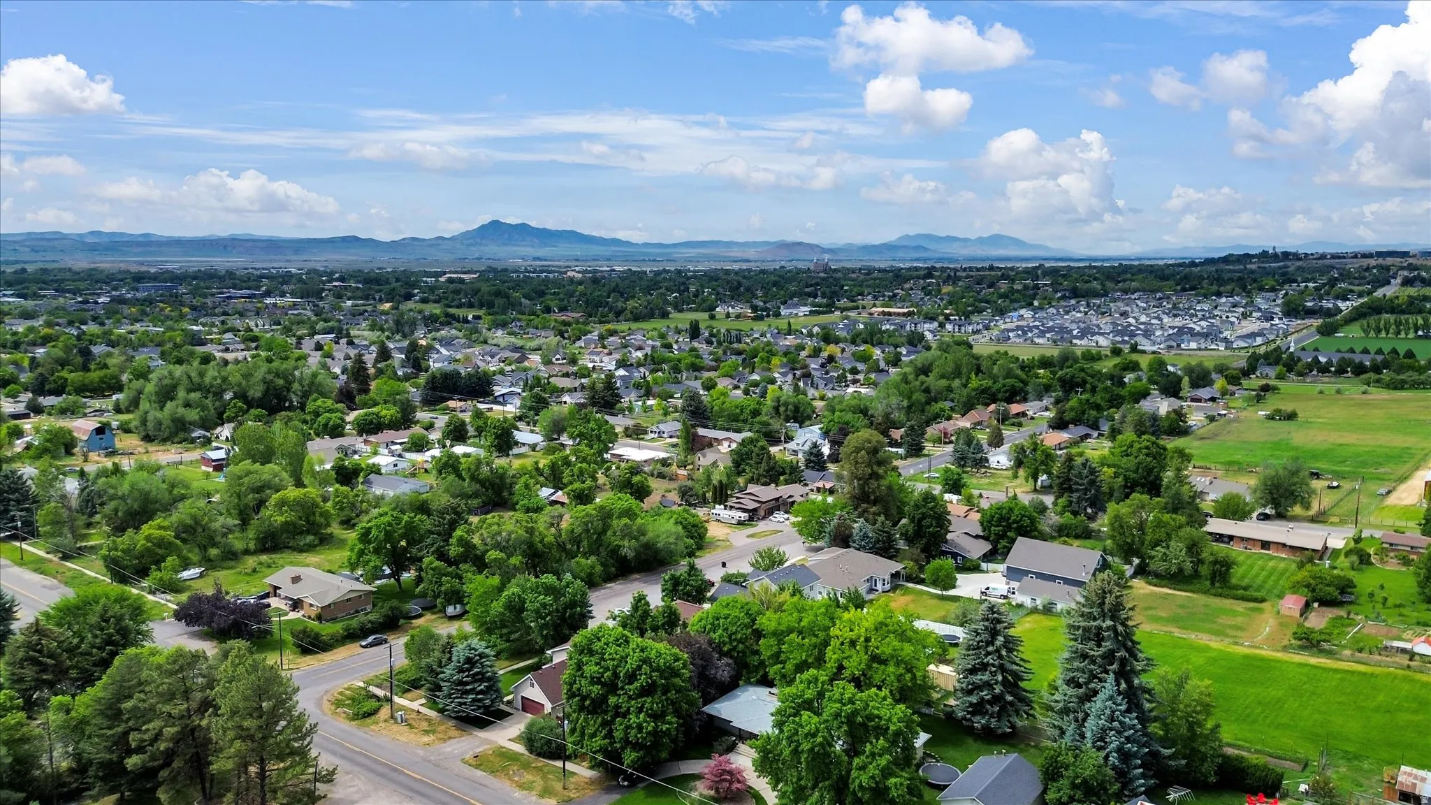 Expansive aerial capturing a suburban area with abundant mature trees and residential structures