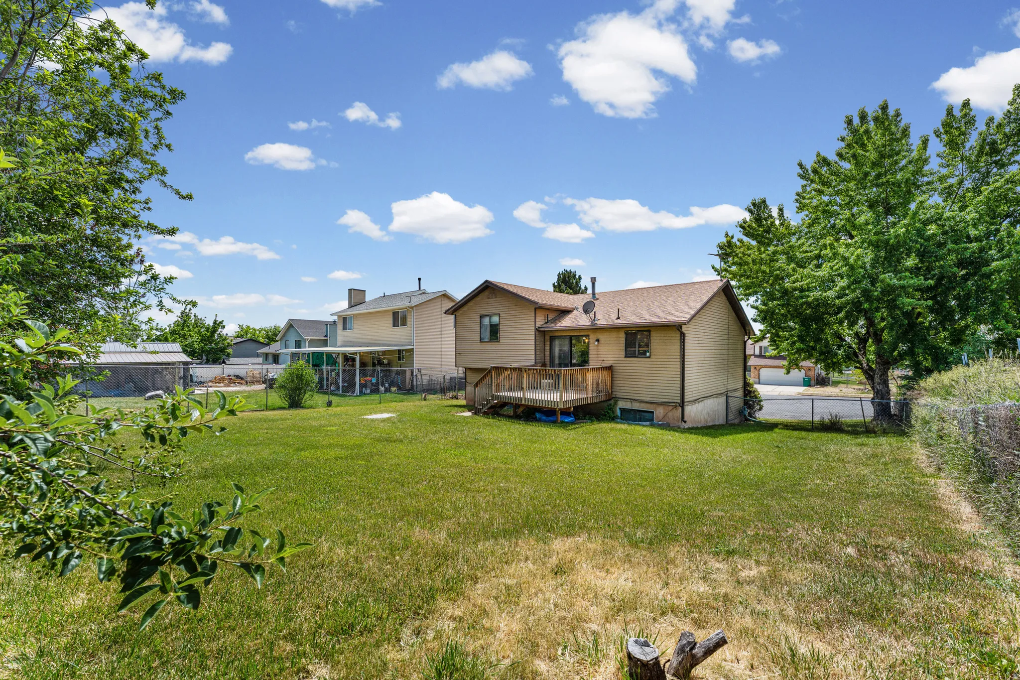 Expansive backyard featuring a wood deck, mature trees, and a chain-link fence