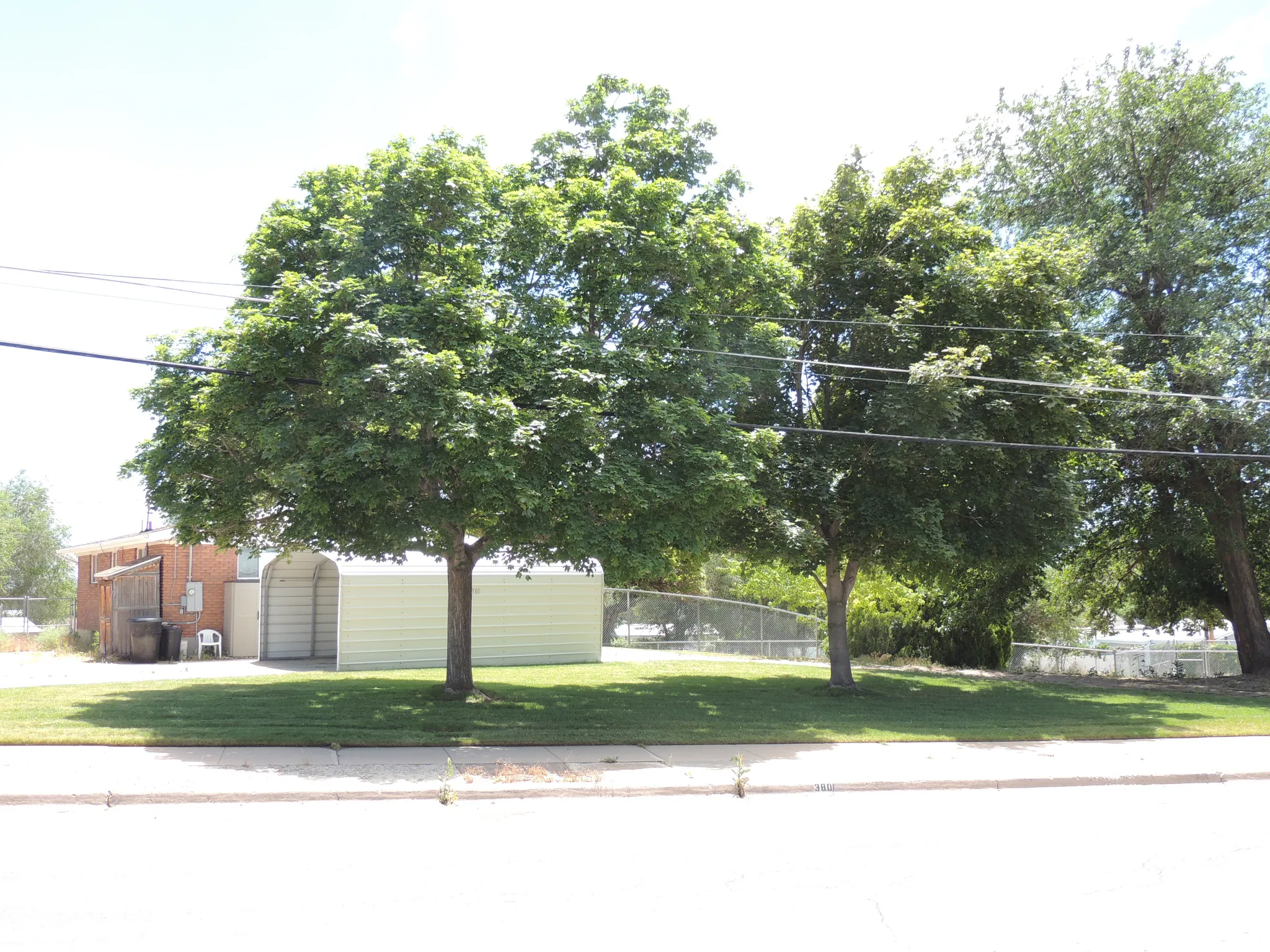 Street View with Mature Trees