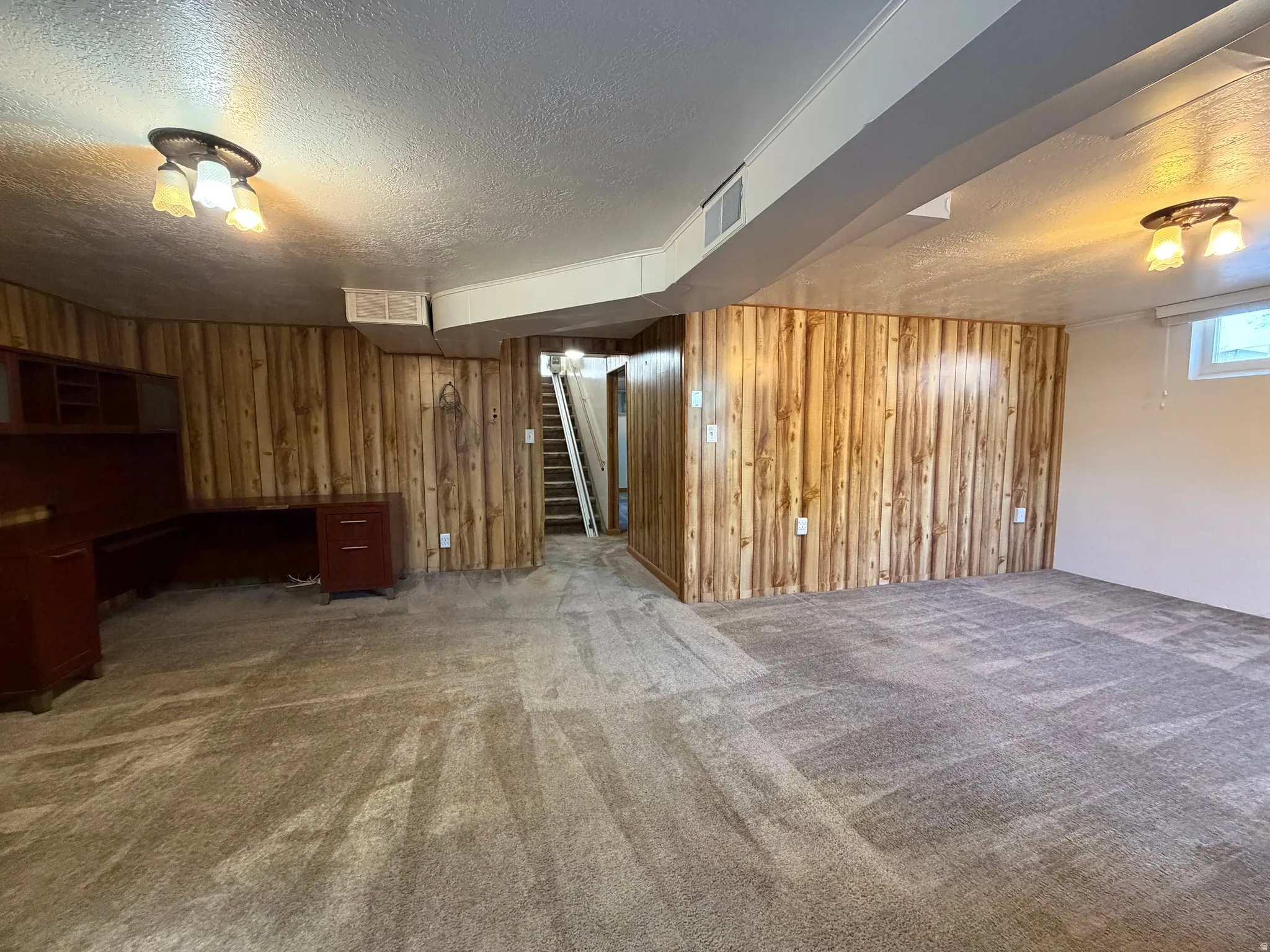 Basement Family Room