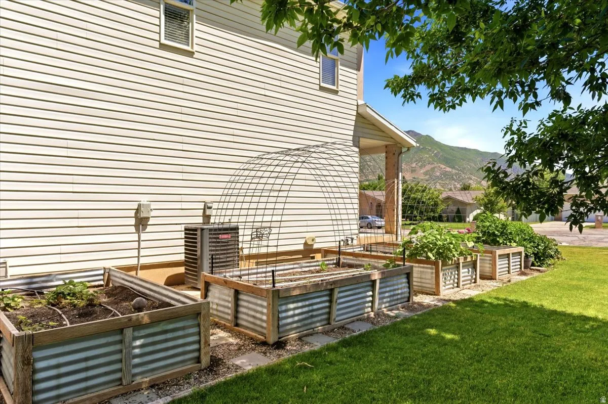 Mature trees, garden boxes, fruit trees, automatic sprinklers, drip irrigation
