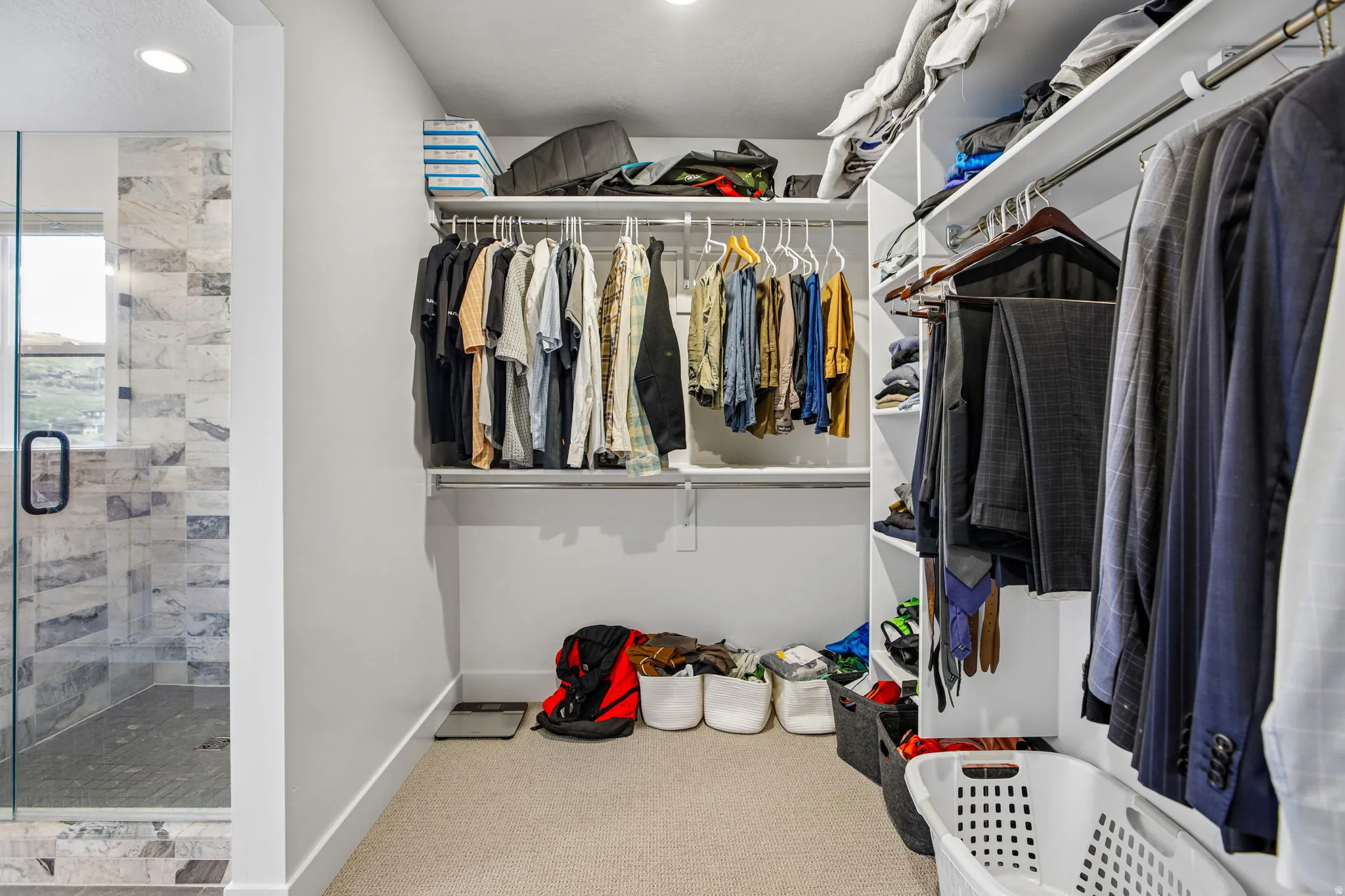 Expansive walk-in closet featuring built-in shelving, hanging rods, and carpet flooring