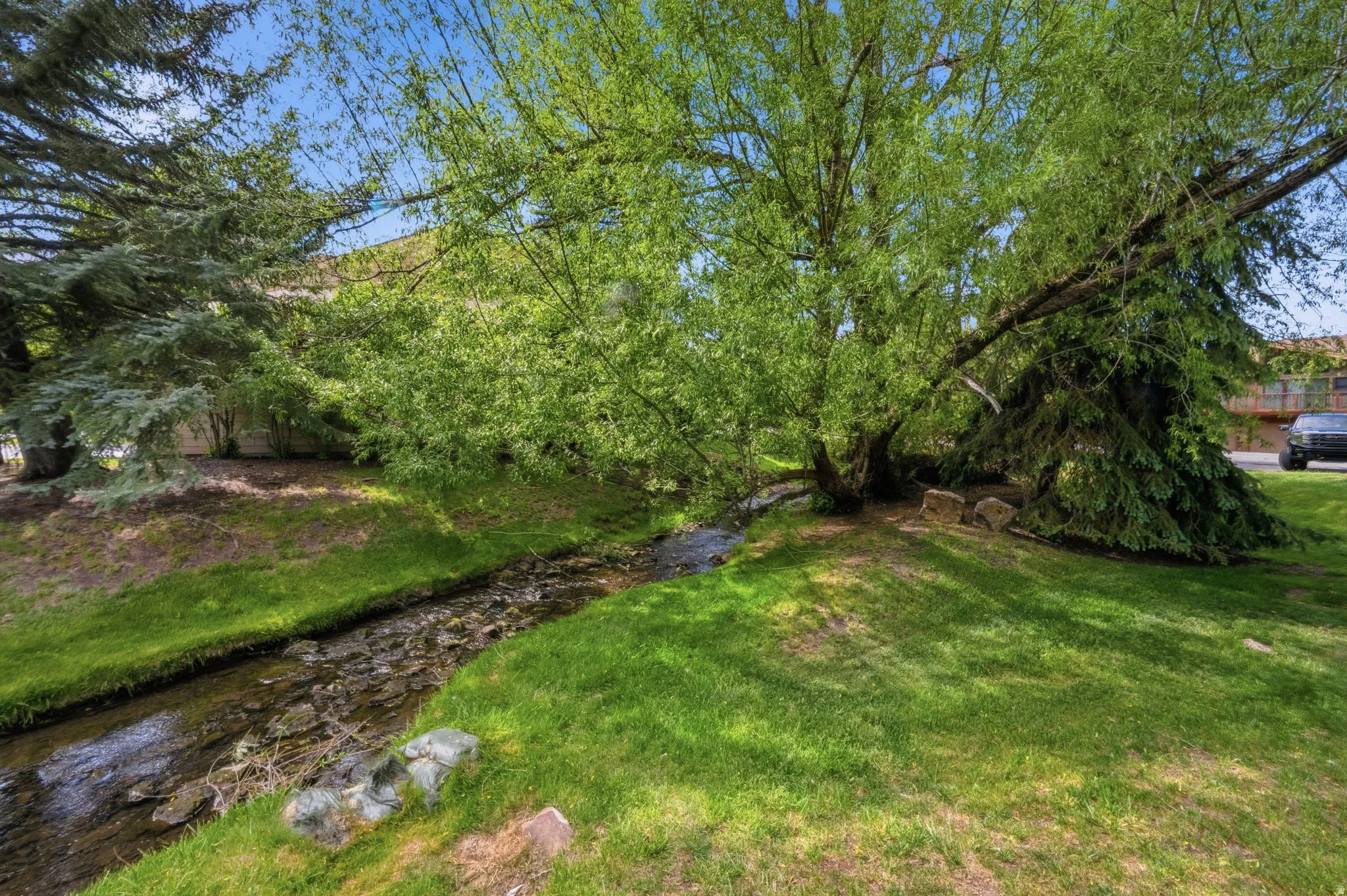 Natural stream running through a verdant landscape with mature trees and lush green grass
