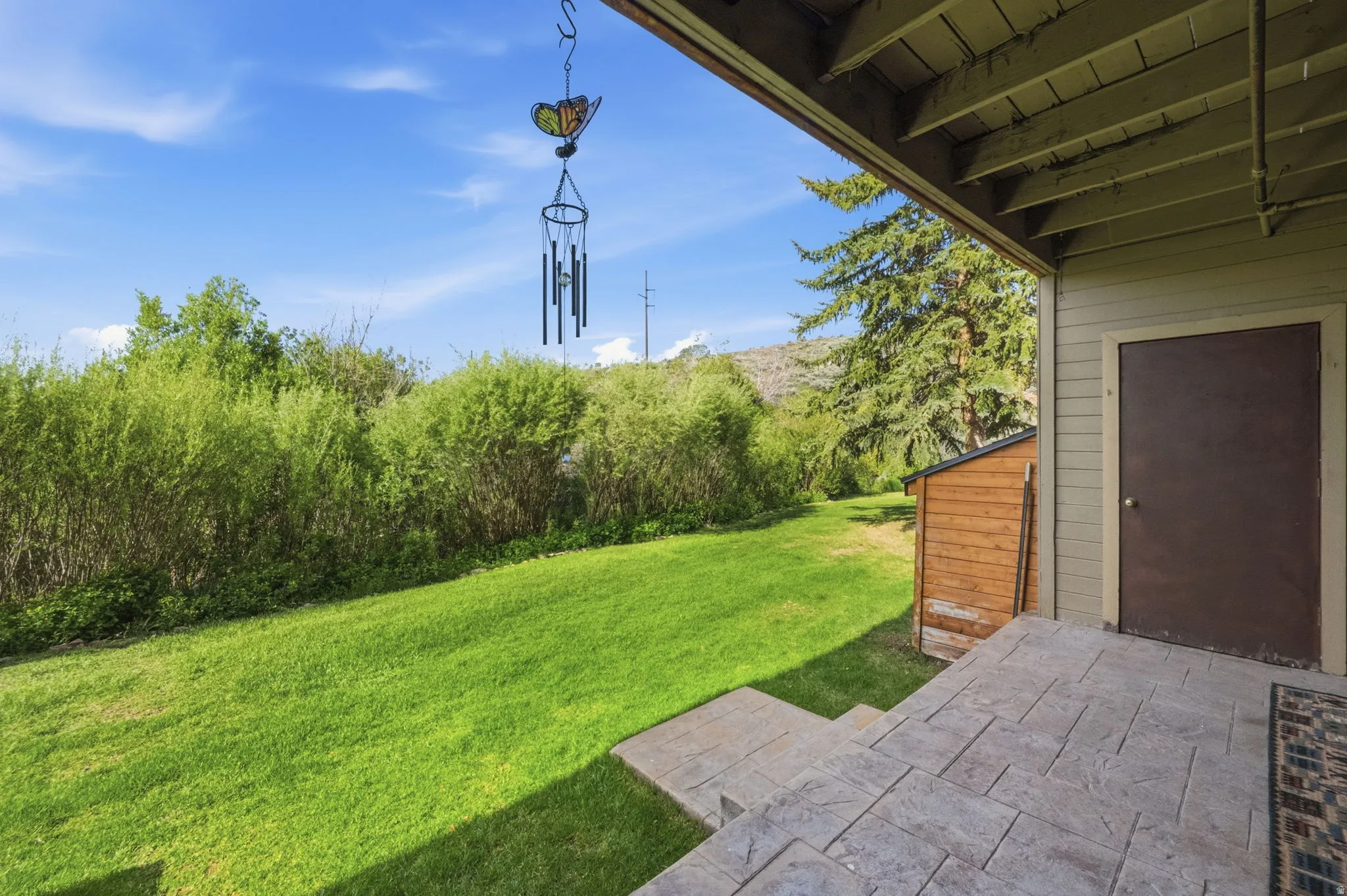 Expansive lawn area bordered by natural foliage