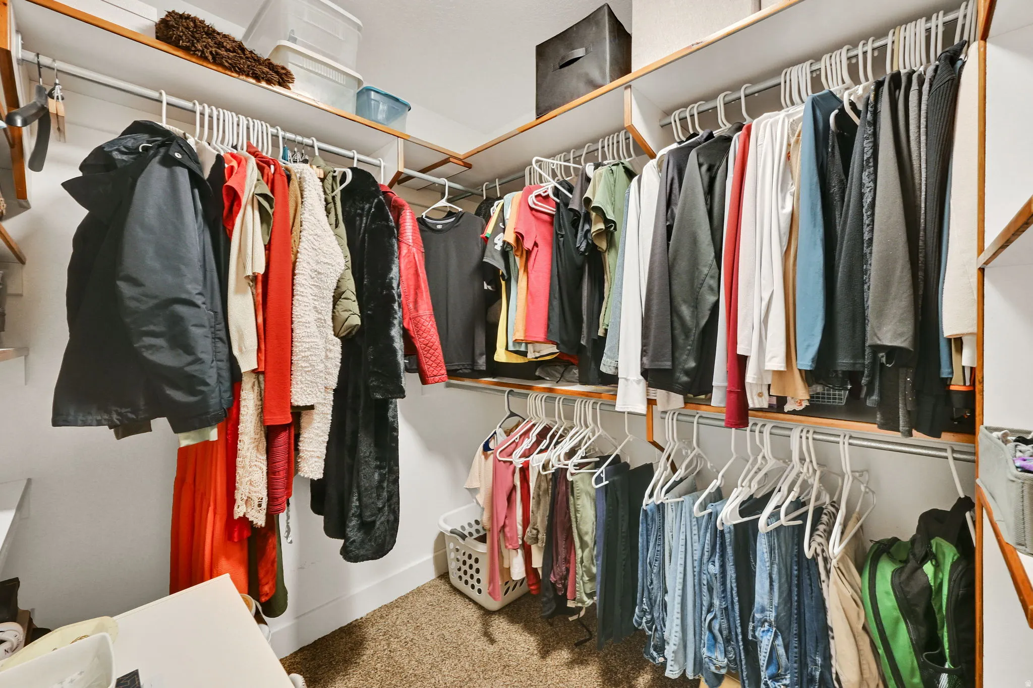 Walk-in closet featuring multiple hanging rods, integrated shelving, and carpet flooring