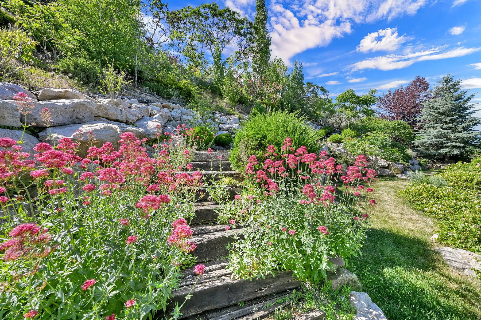 Terraced landscaping featuring mature plants and blooming red flowers