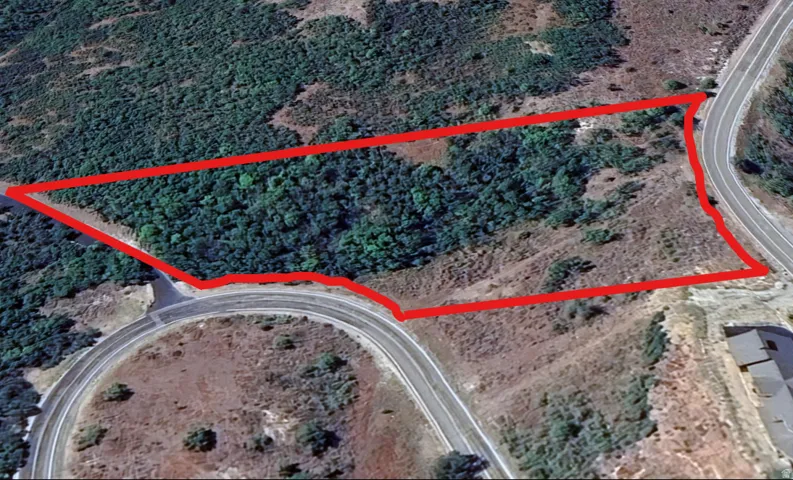 Expansive parcel featuring mixed terrain with substantial tree coverage