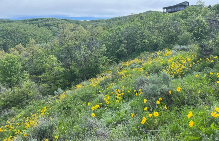 6000 Old Snow Basin Rd, Huntsville, Utah 84317